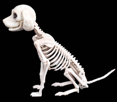 Halloween Decoration Artificial Animal Skeleton